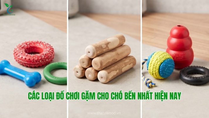 Phân loại các dòng đồ chơi gặm cho chó bền nhất từ gỗ cà phê sừng tự nhiên cao su chịu lực và xương nylon