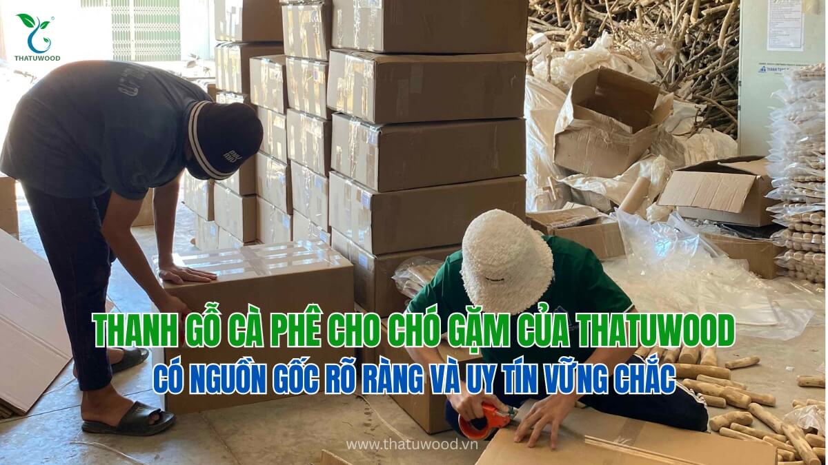 Bí Quyết Chọn Mua Thanh Gỗ Cà Phê Cho Chó Gặm Loại Nào Tốt? 4 Nhà xưởng sản xuất trực tiếp đóng gói lô hàng sỉ lớn minh chứng thanh gỗ cà phê cho chó gặm loại nào tốt đạt chuẩn FSC
