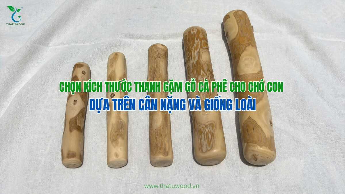 Những Lưu Ý Quan Trọng Khi Chọn Thanh Gặm Gỗ Cà Phê Cho Chó Con 3 Các kích thước khác nhau từ nhỏ đến lớn của dòng sản phẩm thanh gặm gỗ cà phê cho chó con