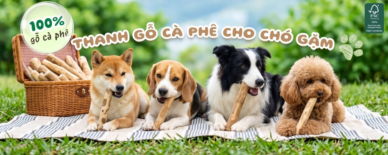 Banner thanh gỗ cà phê cho chó gặm Thatuwood