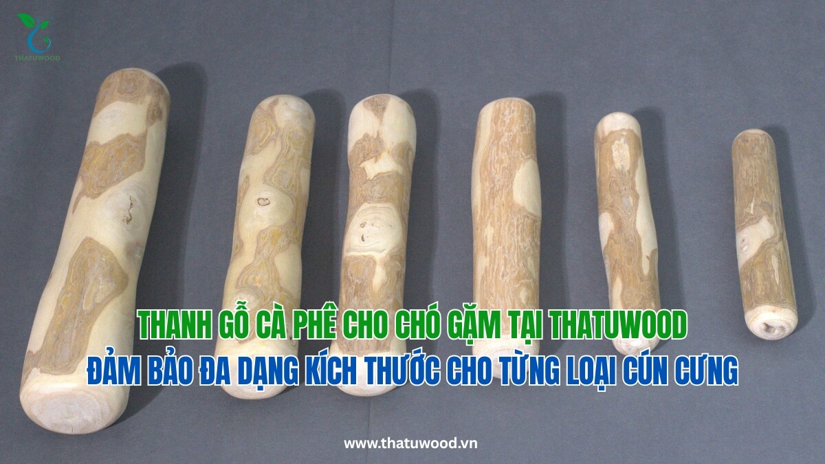 Hình ảnh hiển thị đầy đủ các kích thước thanh gỗ gặm cà phê khác nhau từ size nhỏ đến lớn, được sắp xếp thứ tự trên nền xám để chủ nuôi dễ dàng so sánh và lựa chọn.