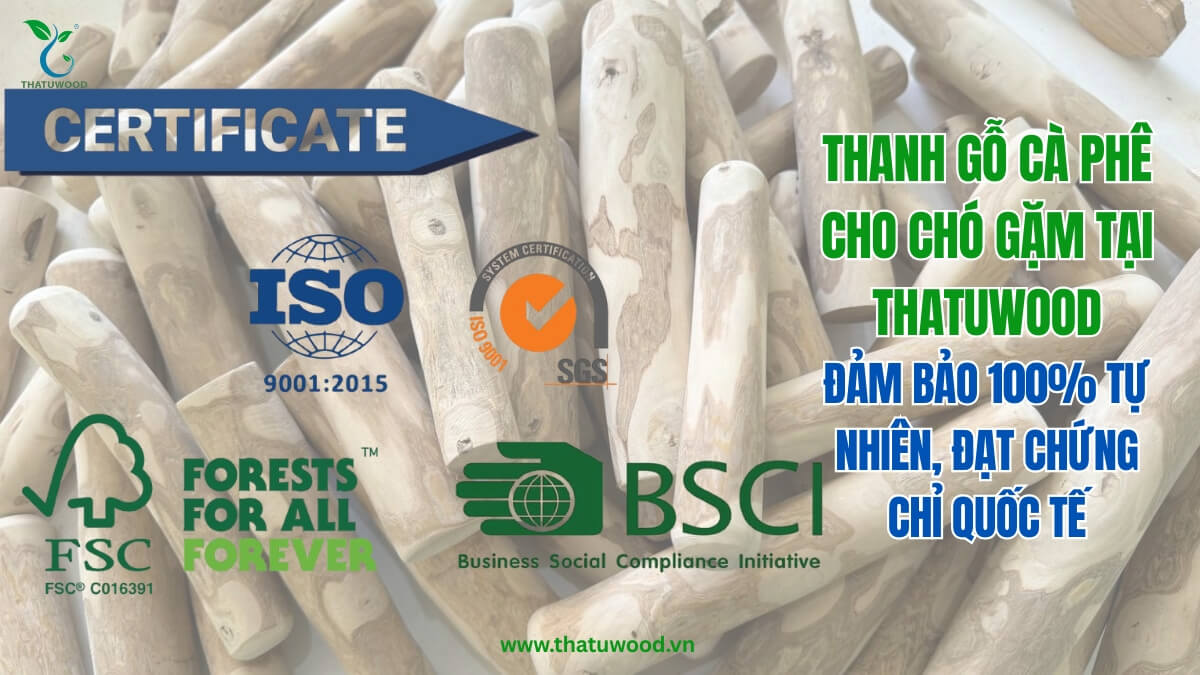 Tập hợp các chứng nhận quốc tế uy tín bao gồm FSC, ISO 9001:2015, SGS và BSCI được cấp cho các sản phẩm thanh gỗ gặm cà phê cao cấp của thương hiệu THATUWOOD.