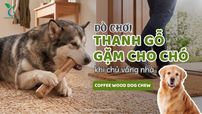 Chú chó đang gặm đồ chơi thanh gỗ gặm cho chó khi chủ vắng nhà để giải tỏa căng thẳng