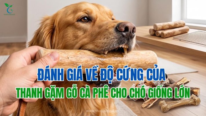 chó giống lớn đang gặm thanh gỗ cà phê tự nhiên để kiểm tra độ cứng của thanh gặm gỗ cà phê cho chó