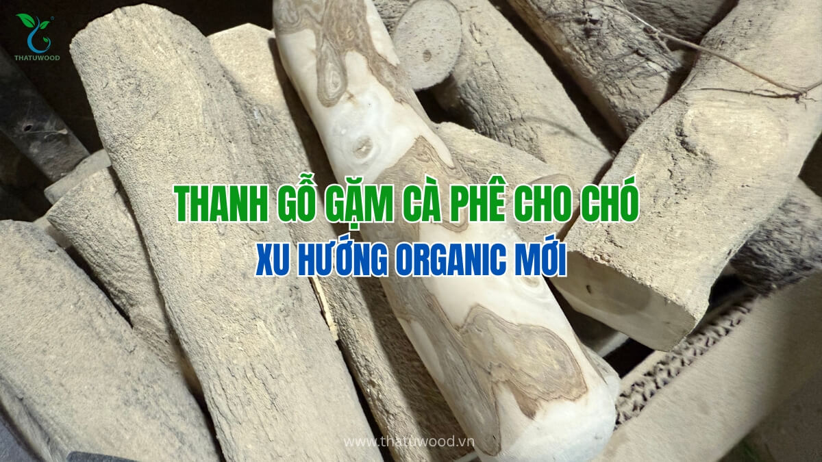 So Sánh Gỗ Cà Phê Và Các Loại Đồ Chơi Gặm Bằng Nhựa 3 Cận cảnh thớ gỗ tự nhiên của thanh xương mài răng gỗ cà phê và các loại đồ chơi gặm bằng nhựa nhân tạo
