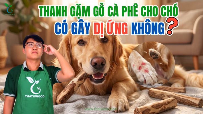 Người đàn ông phân vân suy nghĩ nên tìm kiếm mua thanh gỗ cà phê cho chó ở đâu uy tín giữa kho hàng lớn