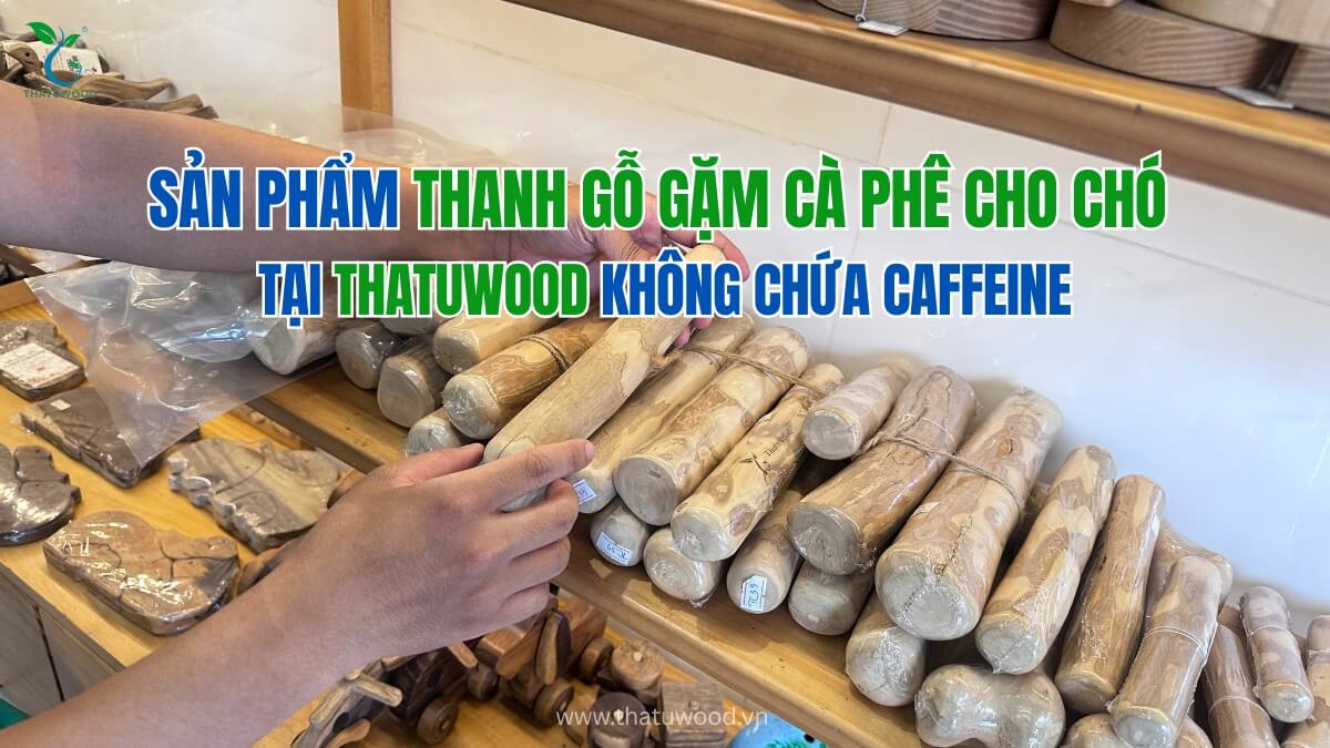 Thanh Gỗ Cà Phê Cho Chó Gặm Có Gây Dị Ứng Không? Sự Thật An Toàn Cho Thú Cưng 2 Thanh gỗ gặm cà phê thatuwood hoàn toàn không chứa caffeine hay hóa chất giải đáp gỗ cà phê cho chó có gây dị ứng không