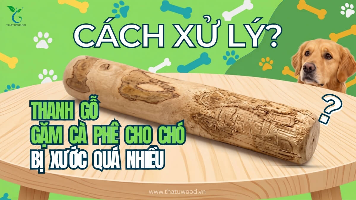 Cách Xử Lý Khi Thanh Gỗ Gặm Cà Phê Cho Chó Bị Xước Quá Nhiều 1 hướng dẫn cách xử lý khi thanh gỗ gặm cà phê cho chó bị xước quá nhiều trong quá trình thú cưng gặm nhấm