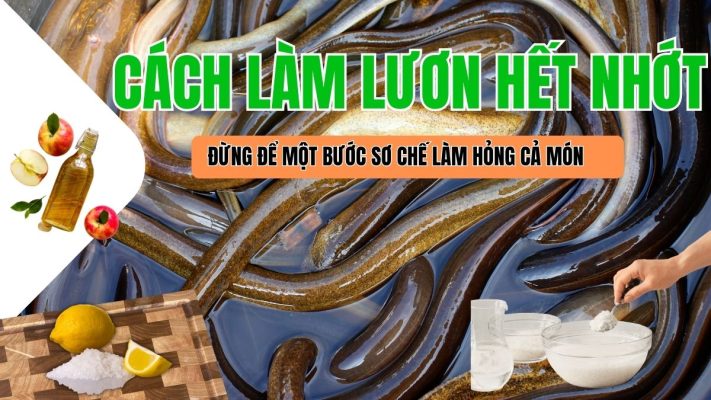 Con lươn đồng vàng óng sơ chế sạch sẽ hướng dẫn cách làm lươn hết nhớt