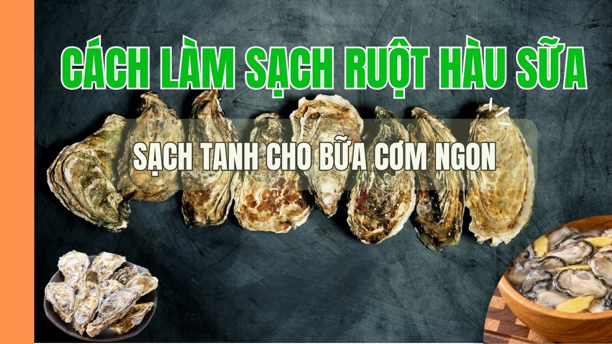 Tô ruột hàu sữa béo mọng trắng ngần hướng dẫn toàn diện cách làm sạch ruột hàu sữa
