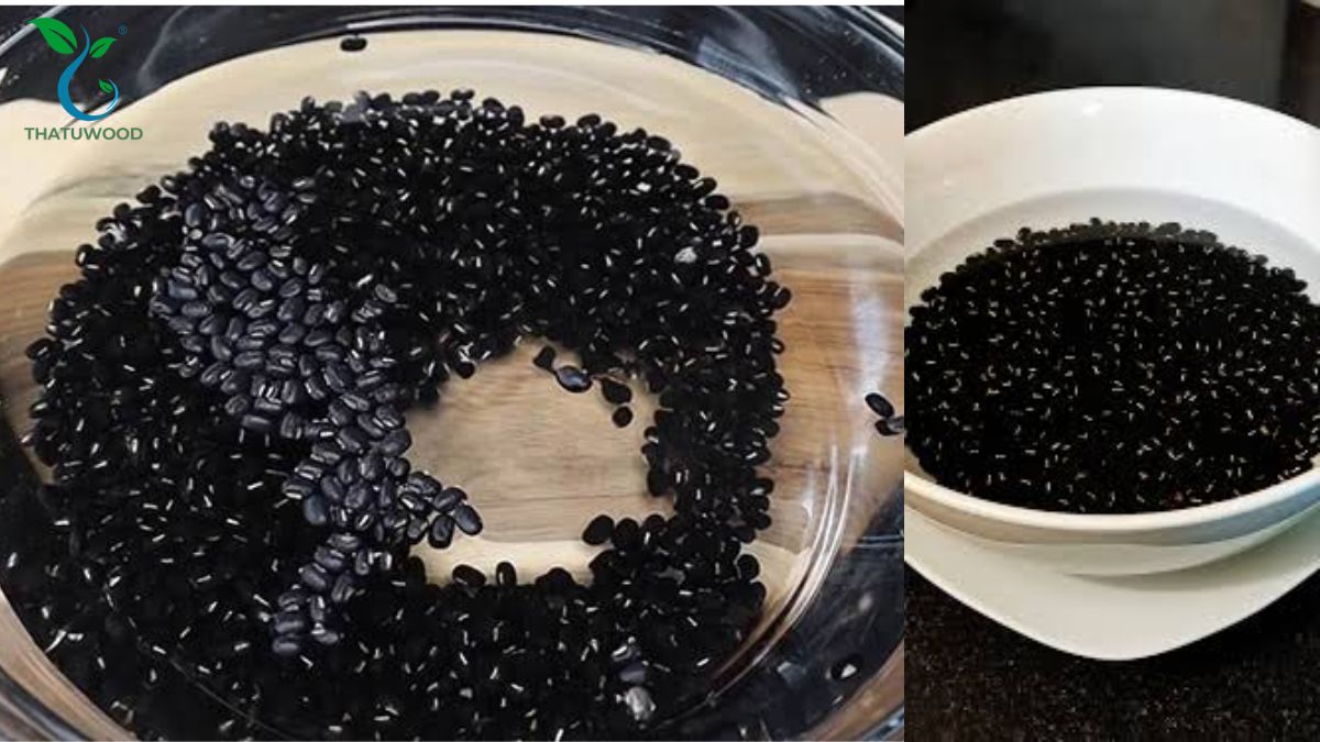 Cách Nấu Đậu Đen Mau Mềm, Nhanh Nhừ Mà Hạt Bùi Ngon 3 Ngâm hạt đậu đen trong nước qua đêm áp dụng trong cách nấu đậu đen mau mềm